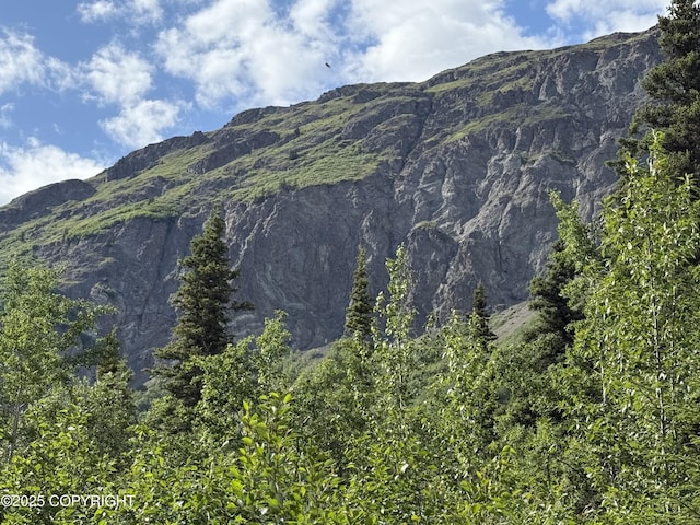 20120 W Glenn Hwy, Chickaloon, AK 99674 - view of mountain background