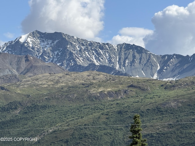 20120 W Glenn Hwy, Chickaloon, AK 99674 - view of mountain background
