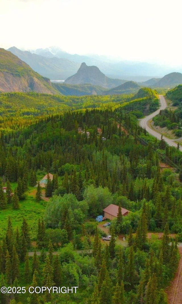 20120 W Glenn Hwy, Chickaloon, AK 99674 - photo 1