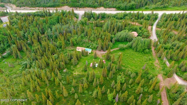 20120 W Glenn Hwy, Chickaloon, AK 99674 - photo 22