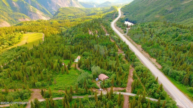 20120 W Glenn Hwy, Chickaloon, AK 99674 - photo 23