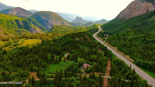 20120 W Glenn Hwy, Chickaloon, AK 99674 - photo 24