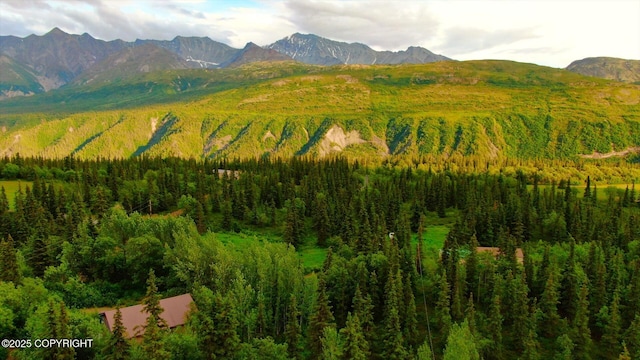 20120 W Glenn Hwy, Chickaloon, AK 99674 - photo 25