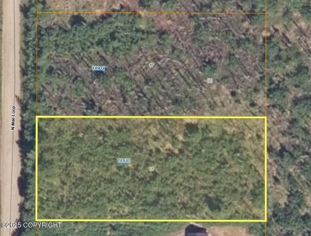 18902 N Mae Loop, Willow, AK 99688
