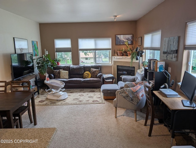 917 Nelchina St # A, Anchorage, AK 99501 - carpeted living area with a glass covered fireplace