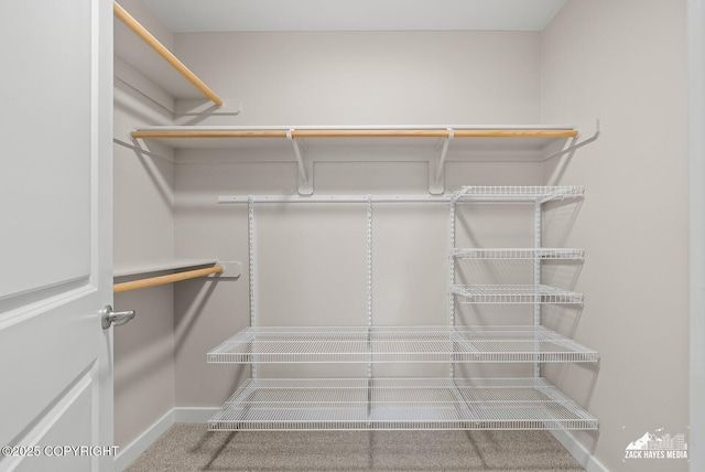 8126 Grayhawk Cir, Anchorage, AK 99507 - view of spacious closet