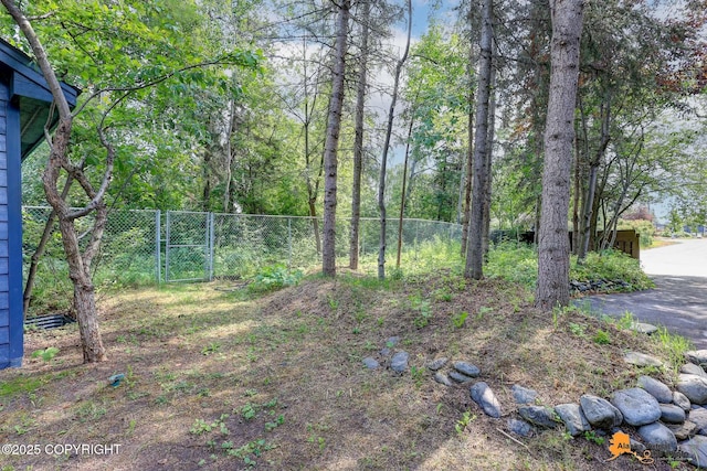 2641 W 27th Ave, Anchorage, AK 99517 - view of yard with a gate