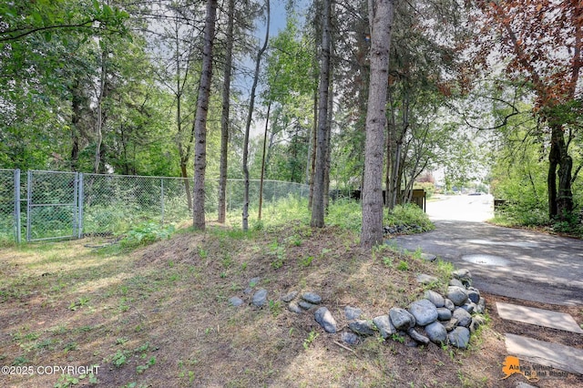 2641 W 27th Ave, Anchorage, AK 99517 - view of yard featuring a gate