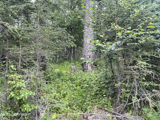 51376 Chilkat Dr, Nikiski/North Kenai, AK 99611