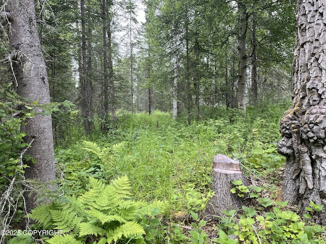 51376 Chilkat Dr, Nikiski/North Kenai, AK 99611