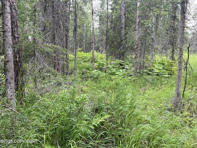 51376 Chilkat Dr, Nikiski/North Kenai, AK 99611