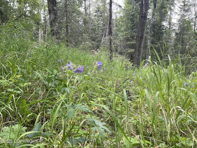 51376 Chilkat Dr, Nikiski/North Kenai, AK 99611