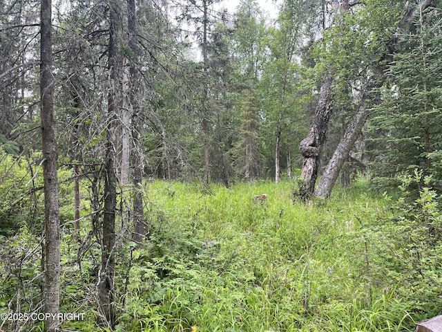 51376 Chilkat Dr, Nikiski/North Kenai, AK 99611