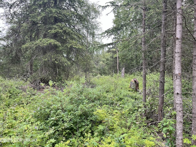 51376 Chilkat Dr, Nikiski/North Kenai, AK 99611