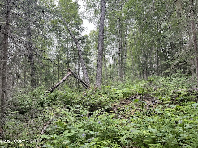 51376 Chilkat Dr, Nikiski/North Kenai, AK 99611