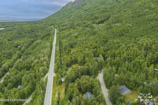 22432 Glacier View Dr, Eagle River, AK 99577 - drone / aerial view of a forest