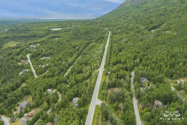 22432 Glacier View Dr, Eagle River, AK 99577 - aerial view of property and surrounding area with a forest
