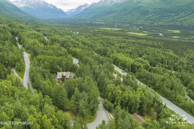 22432 Glacier View Dr, Eagle River, AK 99577 - aerial view of a forest and a mountainous background