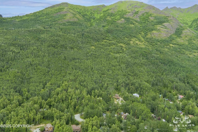 22432 Glacier View Dr, Eagle River, AK 99577 - view of mountain backdrop featuring a heavily wooded area