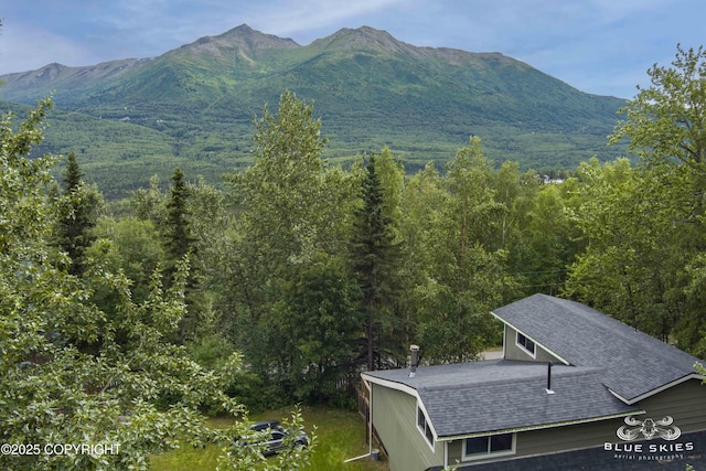 22432 Glacier View Dr, Eagle River, AK 99577 - view of mountain background featuring a heavily wooded area