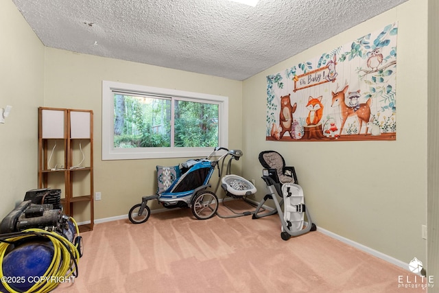 22432 Glacier View Dr, Eagle River, AK 99577 - exercise room featuring carpet floors and a textured ceiling