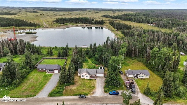 34443 Matanuska St, Soldotna, AK 99669 - drone / aerial view of a large body of water