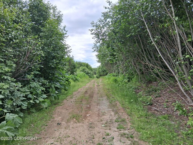 56062 Lasalle Ave, Homer, AK 99603 - photo 8