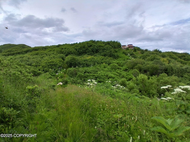 56062 Lasalle Ave, Homer, AK 99603 - photo 18