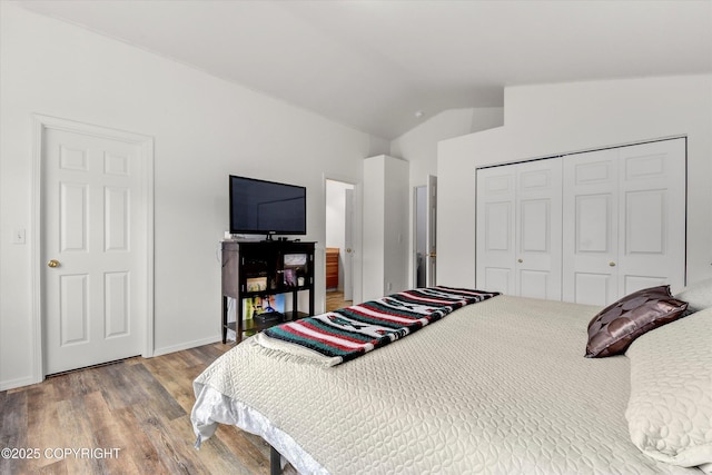 5586 Sapphire Loop # 55B, Anchorage, AK 99504 - bedroom with wood finished floors, lofted ceiling, and a closet