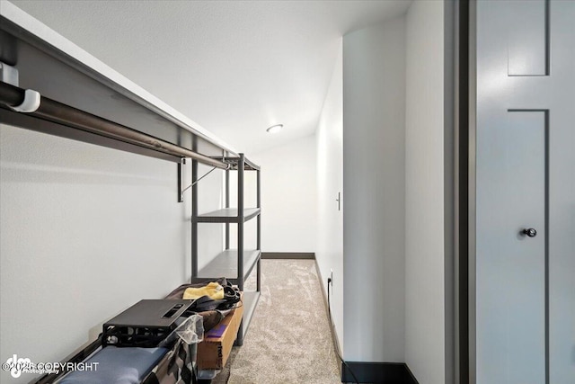 5551 N Wildwood Dr, Wasilla, AK 99654 - spacious closet with carpet