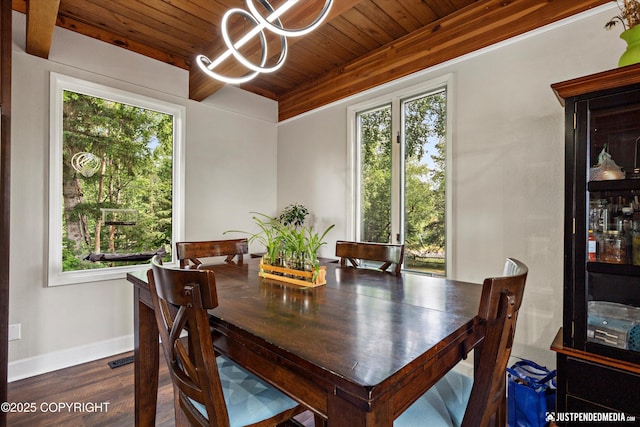 4200 Rabbit Creek Rd, Anchorage, AK 99516 - photo 26