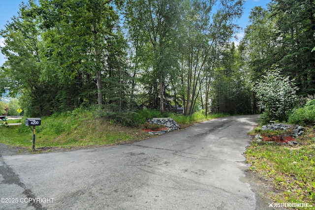 4200 Rabbit Creek Rd, Anchorage, AK 99516 - photo 69