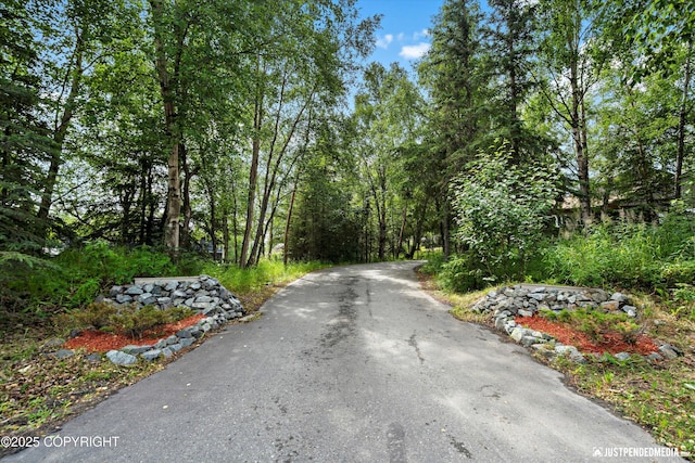 4200 Rabbit Creek Rd, Anchorage, AK 99516 - photo 3