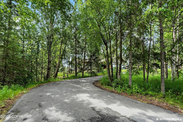 4200 Rabbit Creek Rd, Anchorage, AK 99516 - photo 4