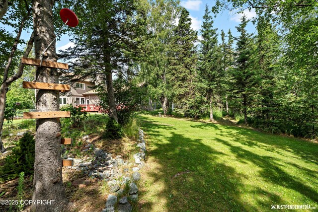 4200 Rabbit Creek Rd, Anchorage, AK 99516 - photo 78