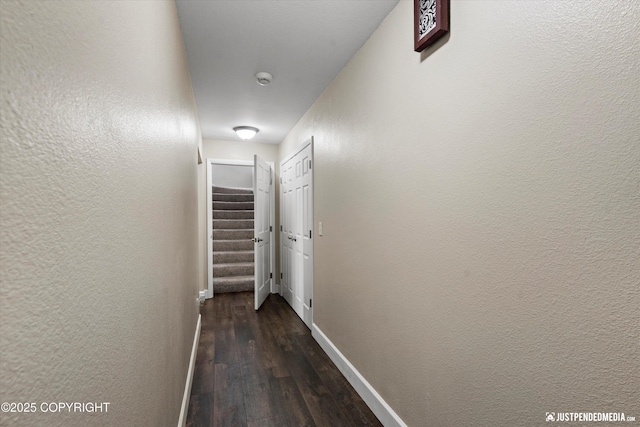 4200 Rabbit Creek Rd, Anchorage, AK 99516 - photo 88