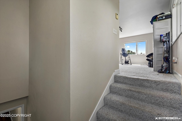 4200 Rabbit Creek Rd, Anchorage, AK 99516 - photo 34