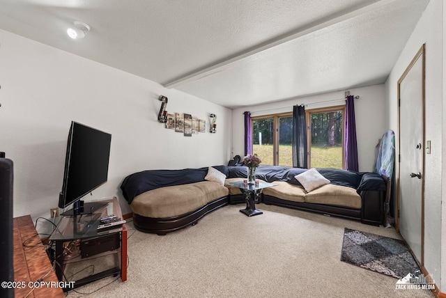 8641 Blackberry St # 6B, Anchorage, AK 99502 - living area with carpet