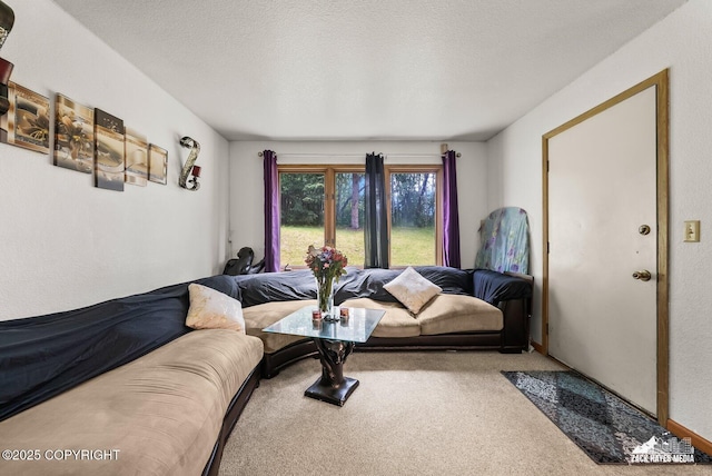 8641 Blackberry St # 6B, Anchorage, AK 99502 - view of carpeted living room