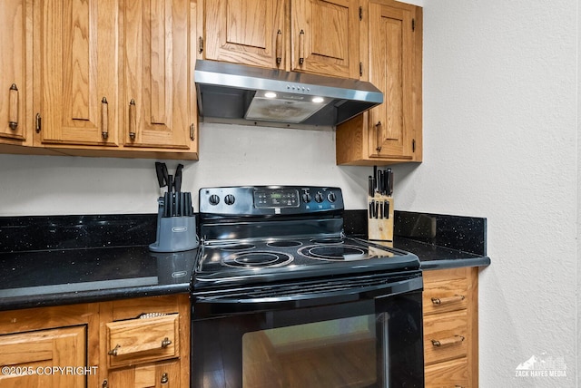 8641 Blackberry St # 6B, Anchorage, AK 99502 - kitchen with extractor fan, black range with electric stovetop, and brown cabinets