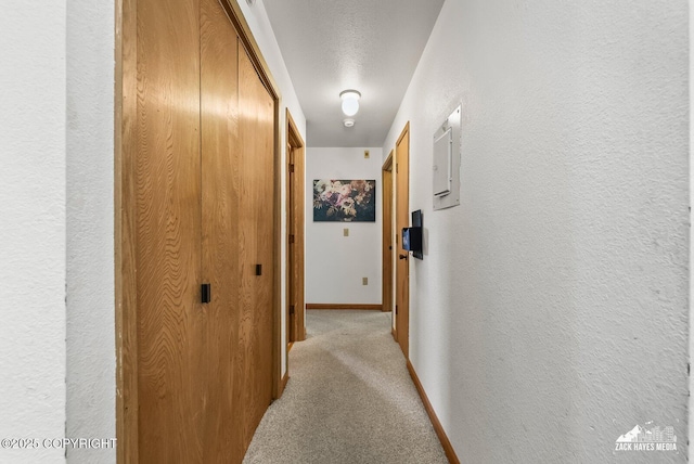8641 Blackberry St # 6B, Anchorage, AK 99502 - corridor with light carpet and a textured wall