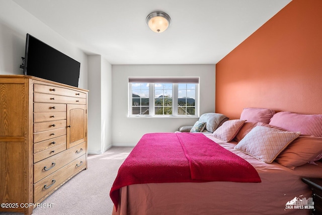 7655 Stepping Stone Ln Unit Q2, Anchorage, AK 99504 - bedroom featuring light carpet and baseboards