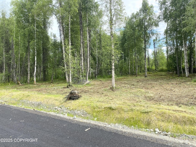 20099 E Caswell Lakes Rd, Willow, AK 99688