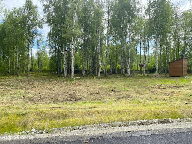 20099 E Caswell Lakes Rd, Willow, AK 99688
