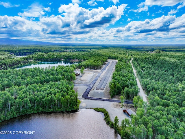 20099 E Caswell Lakes Rd, Willow, AK 99688