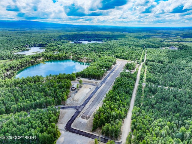 20099 E Caswell Lakes Rd, Willow, AK 99688