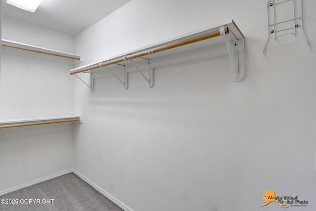 2321 Lusardi Point Cir, Anchorage, AK 99515 - walk in closet with carpet