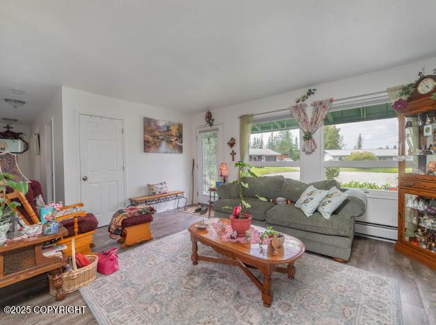 282 Marydale Ct, Soldotna, AK 99669 - living area with a baseboard radiator and wood finished floors