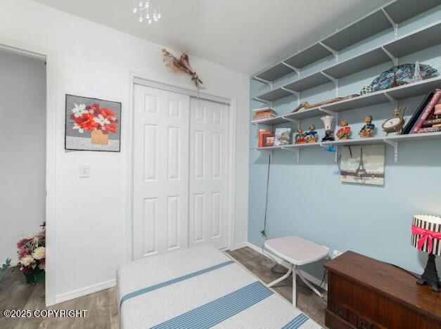282 Marydale Ct, Soldotna, AK 99669 - bedroom with a closet and wood finished floors