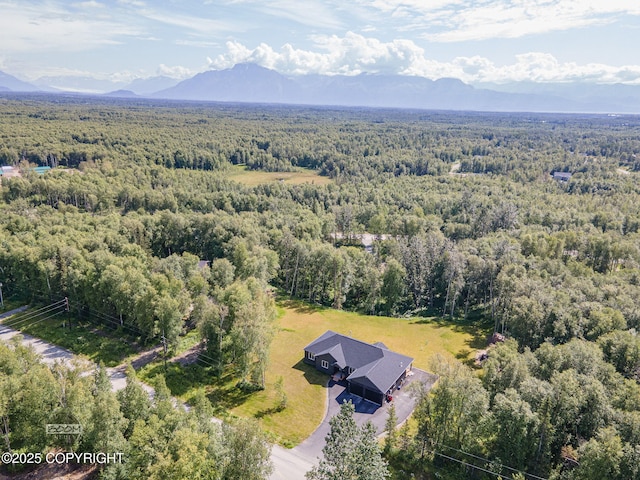 4580 E Pamela Dr, Wasilla, AK 99654 - photo 74